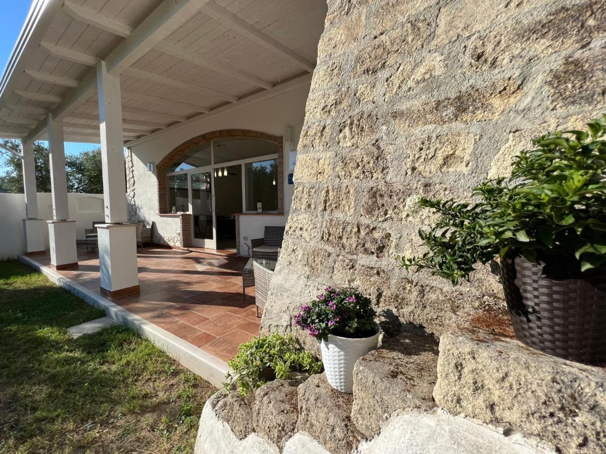 Agriturismo Antichi Ulivi Маттината Экстерьер фото