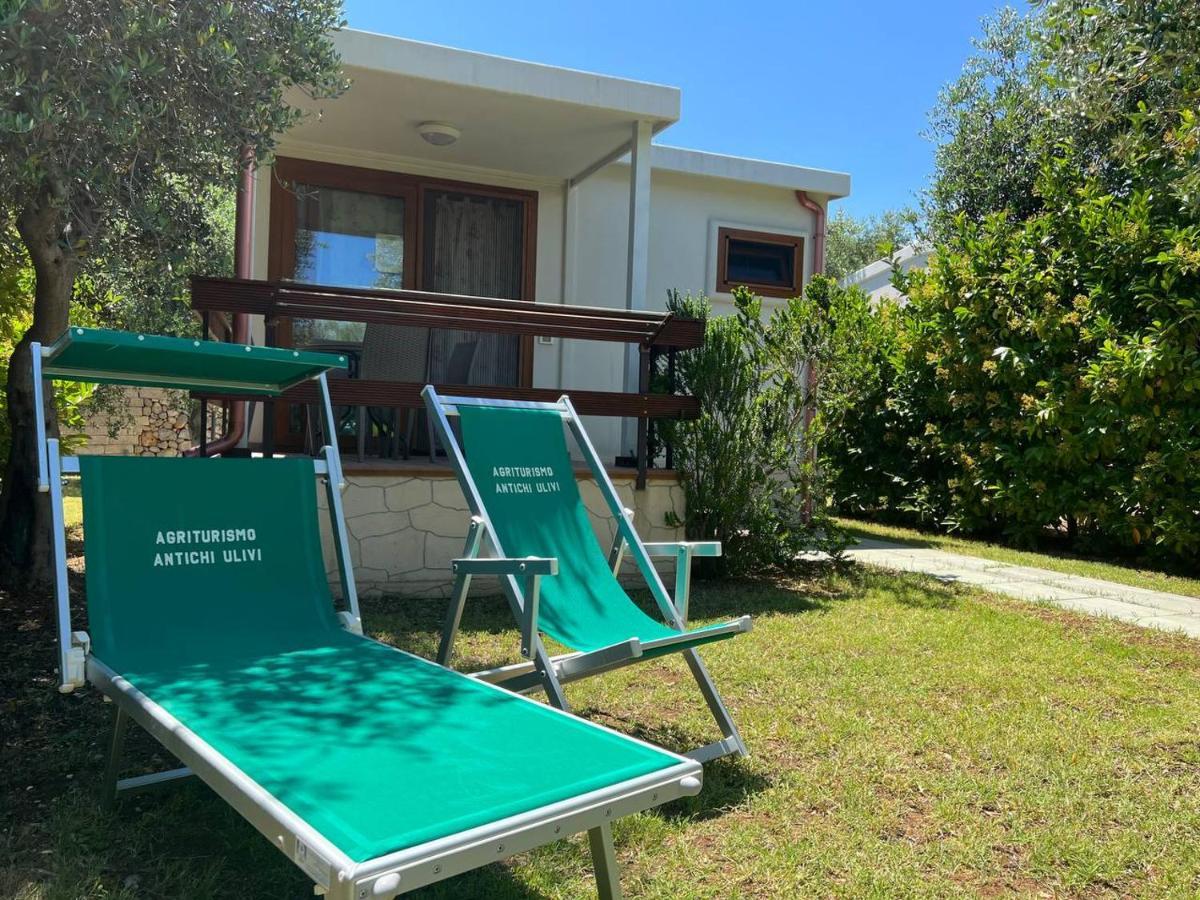 Agriturismo Antichi Ulivi Маттината Экстерьер фото