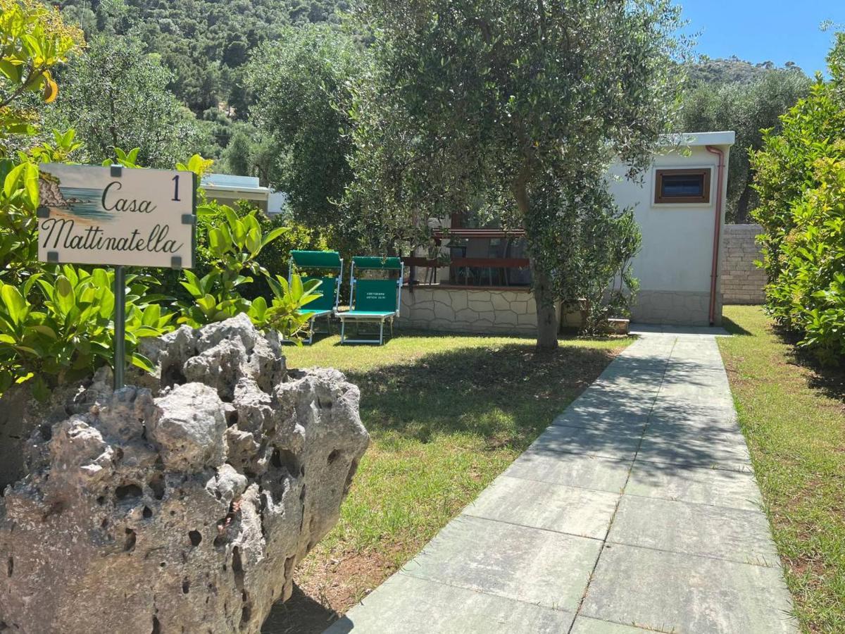 Agriturismo Antichi Ulivi Маттината Экстерьер фото