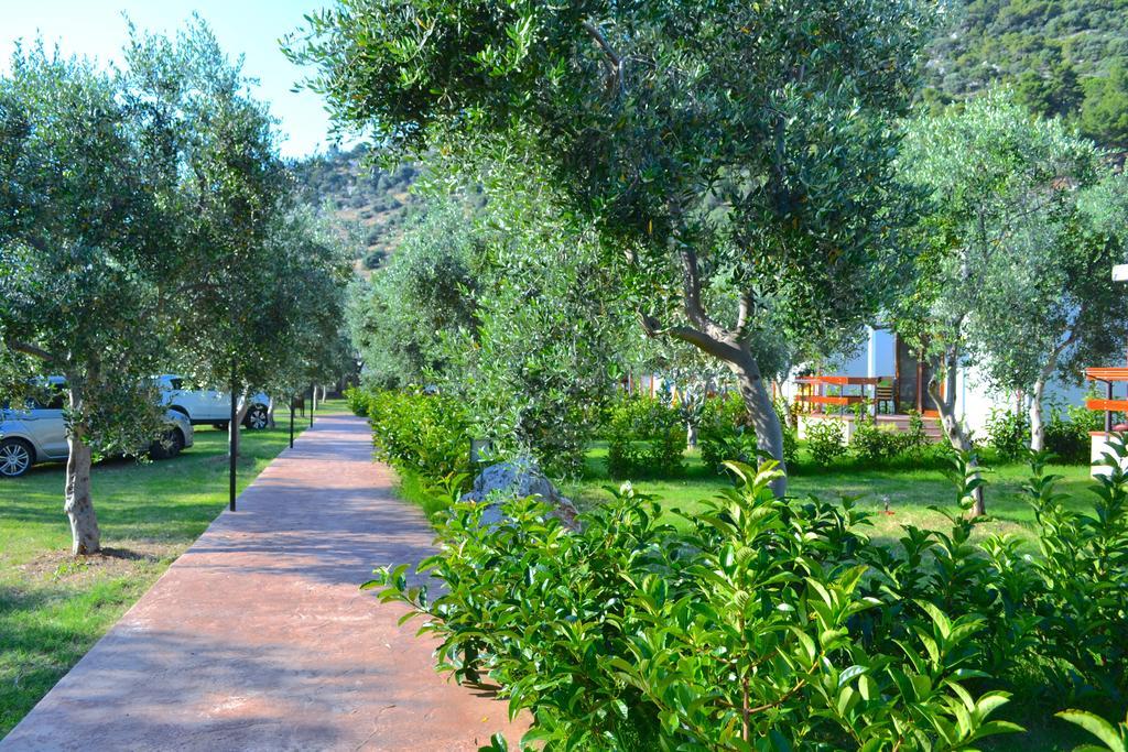 Agriturismo Antichi Ulivi Маттината Экстерьер фото