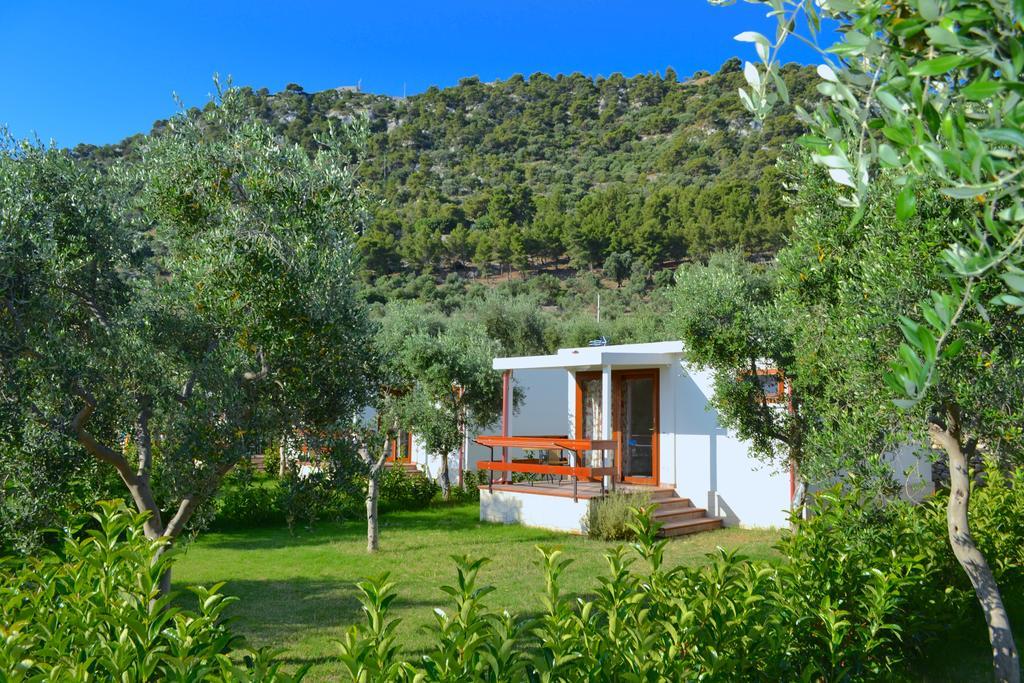 Agriturismo Antichi Ulivi Маттината Экстерьер фото