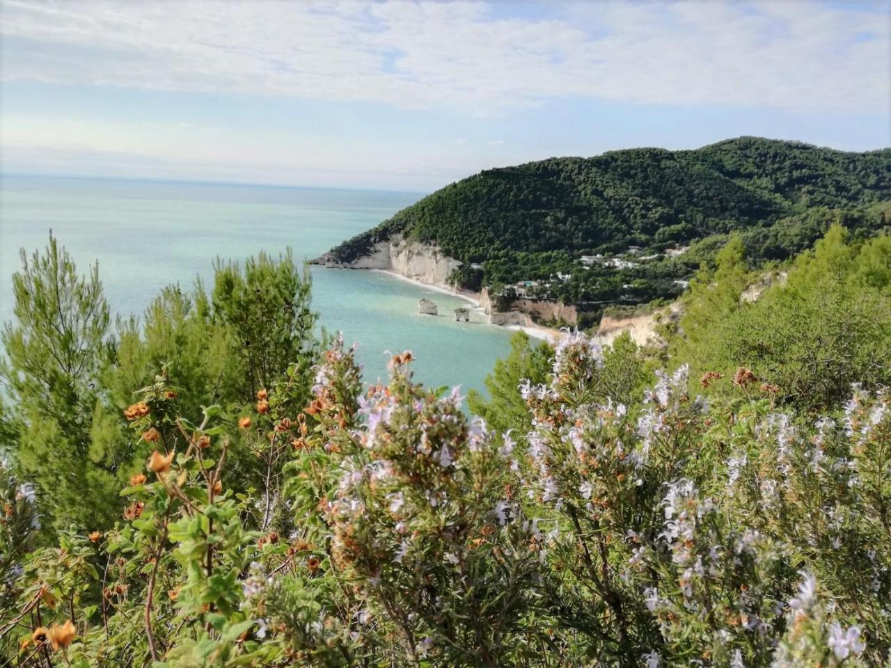 Agriturismo Antichi Ulivi Маттината Экстерьер фото