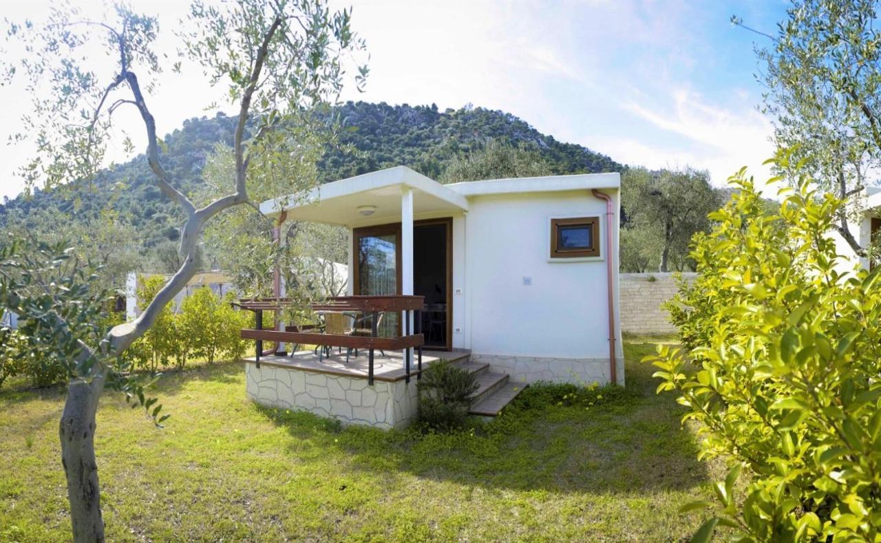 Agriturismo Antichi Ulivi Маттината Экстерьер фото